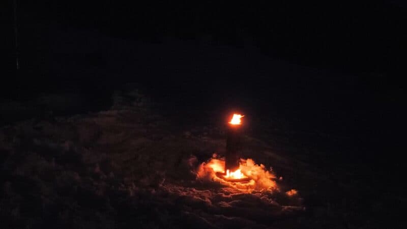 Baumfackel Impression